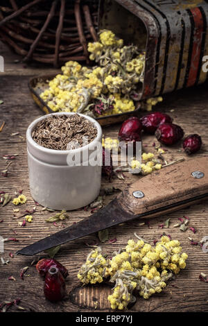 gesammelte und getrocknete Heilkräuter und Pflanzen für Kräuterkunde ist. Stockfoto