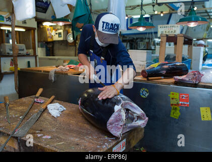 Frischer Thunfisch Main Schneiden von professionellen japanischen Thunfisch Handlern in Tsukiji Fisch und Meeresfrüchte-Markt, direkt nach der Thunfisch-Auktion. Stockfoto