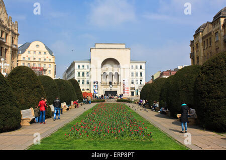 Oper in Timisoara und Victory square Stockfoto