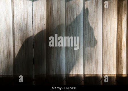 Silhouette der Katze sitzt im Fenster. Stockfoto