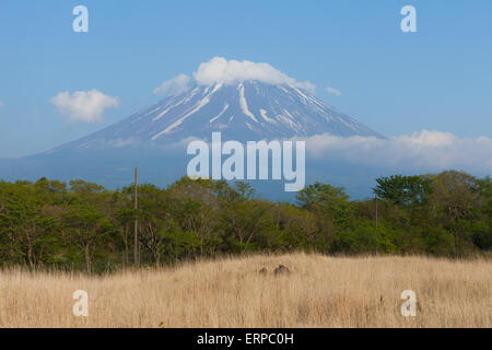 Panoramablick auf den Mount Fuji Stockfoto