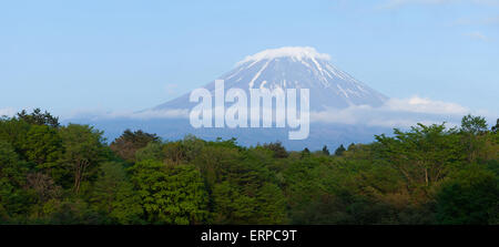 Panoramablick auf den Mount Fuji Stockfoto