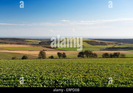 Ein Blick auf den South Downs nördlich von Worthing auf eine helle Frühling Nachmittag Stockfoto