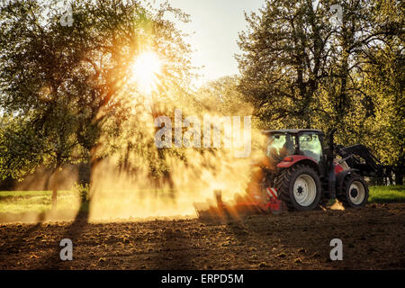 Traktor pflügen ein Feld bei Sonnenuntergang im schönen Sonnenlicht fällt durch Bäume und Staub mit Licht und Schatten-Effekte, keine Logos-o Stockfoto