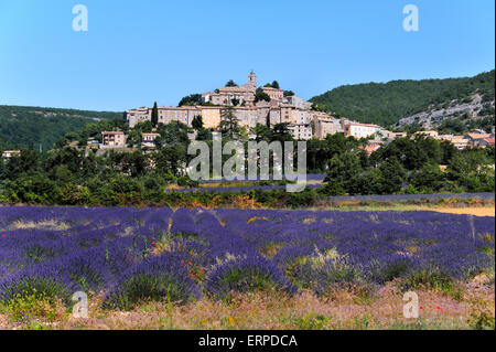 Dorf Banon in der Provence, liegt auf einem Hügel und Lavendel Stockfoto