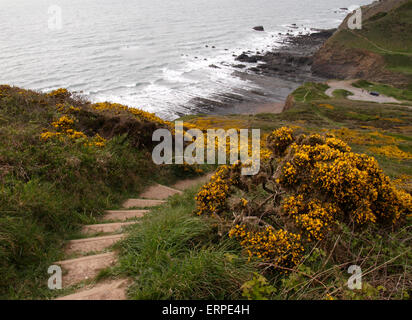 Schritte entlang der Südwestküste-Weg hinunter zum Strand an Welcombe Mündung, Devon, UK Stockfoto