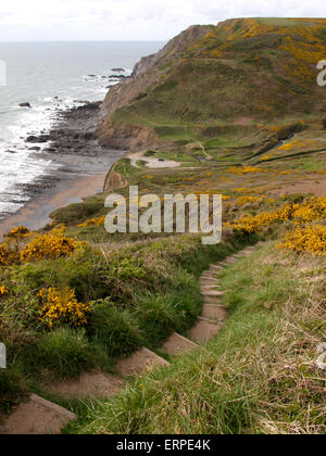Schritte auf dem Weg der Südwestküste Welcombe Mund Strand, Devon, UK Stockfoto