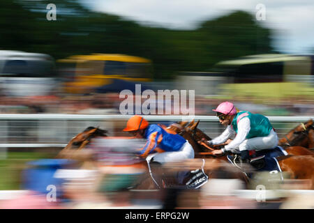 Epsom Downs, Surrey, UK führt 6. Juni 2015 CANALETTO GIOVANNI EPICURIS und das Feld in der Wohnung direkt auf das Derby Stockfoto