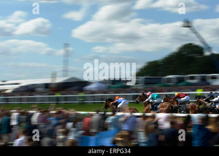 Epsom Downs, Surrey, UK führt 6. Juni 2015 CANALETTO GIOVANNI EPICURIS, ELM PARK und das Feld in der Wohnung direkt auf das Derby Stockfoto