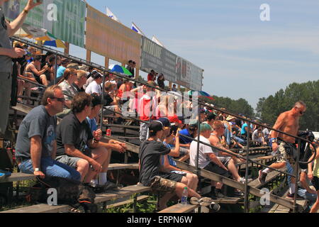 Publikum beobachten eines Ereignisses Stockfoto