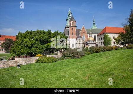 Wawel-Kathedrale (Polnisch: Katedra Wawelska, Na Wawelu) in Krakau, Polen, Garten-Seitenansicht. Stockfoto