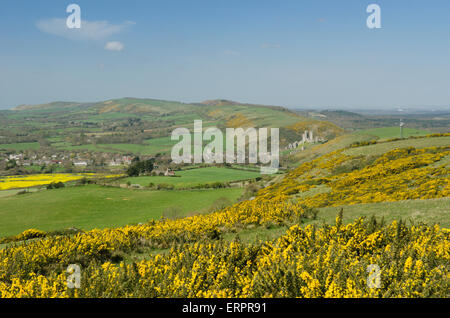 Blick vom Weg auf Challow Hill und Rollington Hill, der Corfe und Corfe Castle nach unten läuft. Ginster [Ulex Europaeus]. Dorset Stockfoto