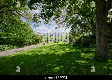 Leazes Park-Newcastle-Upon-Tyne Stockfoto