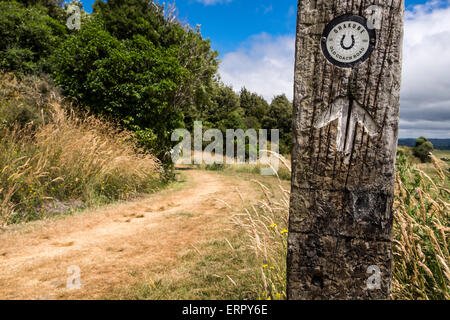 Alte Eisenbahn-Schläfer verwendet als Marker Trail entlang der alten Strecke Ohakune Coach Road, New Zealand. Stockfoto