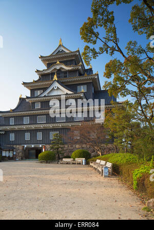 Burg Okayama, Okayama, Okayama Präfektur, Japan Stockfoto