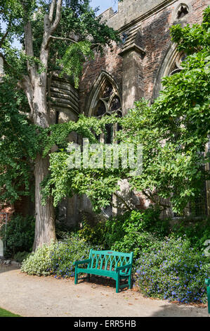 Wells Bishops Palace Gardens, Stadt, Somerset, England UK Stockfoto