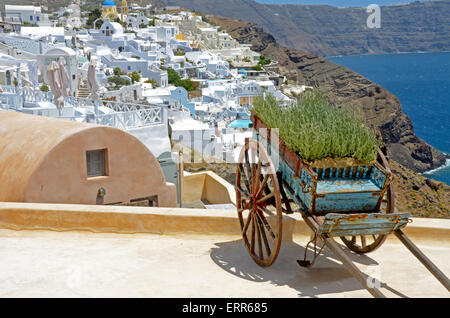 Warenkorb von Lavendel mit Blick auf die Stadt Oia, Santorini, Griechenland Stockfoto
