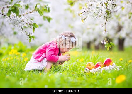 Entzückende glücklich Kleinkind Mädchen mit lockigem Haar und Blume Krone trägt ein rotes Kleid Picknick in einen blühenden Obstgarten Stockfoto