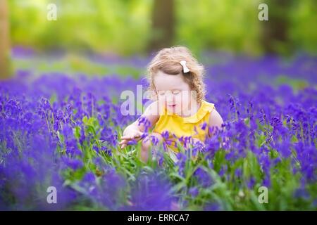 Entzückende Kleinkind Mädchen mit dem lockigen Haar trägt ein gelbes Kleid mit lila Bluebell Blumen in einem sonnigen Frühlingstagen Wald spielen Stockfoto