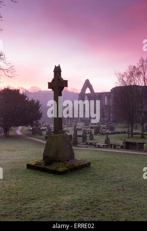 Nebligen Winter Sunrise mit rosa Himmel über Grabsteine & Steindenkmal cross im Vordergrund - malerische Bolton Abbey Ruinen, Yorkshire Dales, England, UK. Stockfoto