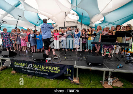 Exeter, Devon, UK. 7. Juni 2015. Großer Lärm Chor Datenzugriffsmöglichkeit live bei Exeter Respekt Festival 2015 im Belmont Park, Exeter am 7. Juni 2015 in Exeter, Devon, UK Credit: Clive Chilvers/Alamy Live News Stockfoto
