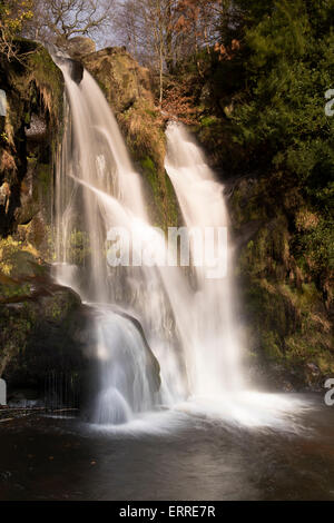 Posforth Gill Waterfall in idyllischer, friedlicher Landschaft (Flusswasser fließt über felsige Klippen in Teich) - Bolton Abbey, Yorkshire Dales, England, Großbritannien Stockfoto