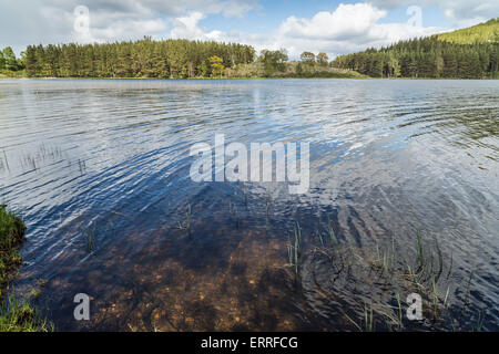 Loch Pityoulish im Cairngorms National Park von Schottland. Stockfoto