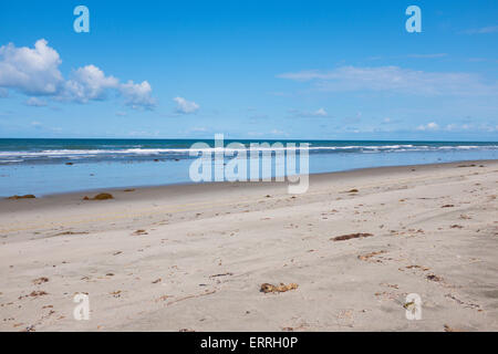 Strand camping in Marine Base Camp Pendleton Stockfoto