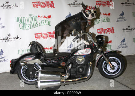 Die 83. annual Hollywood Christmas Parade - Ankünfte mit: Chopper wo: Los Angeles, California, Vereinigte Staaten von Amerika bei: Kredit-30. November 2014: Nicky Nelson/WENN.com Stockfoto