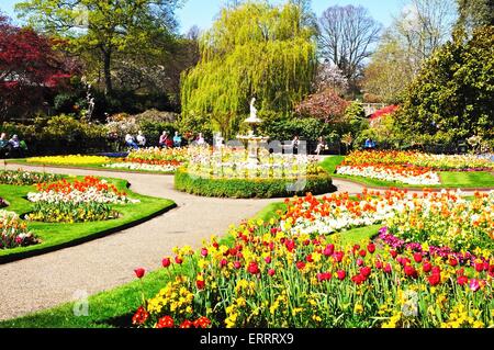 Blick auf die Dingle formalen Garten mit einem Brunnen in der Mitte in Quarry Park während der Frühling, Shrewsbury, England, UK. Stockfoto