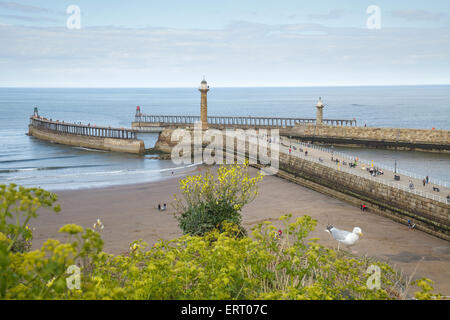 Eingang zum Hafen von Whitby mit Leuchttürmen, Yorkshire, England Stockfoto