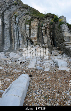 Vertikale Purbeck Kalkstein Betten, Man O' War Strand Durdle Door, Dorset Cinder Bett auf der rechten Seite Stockfoto