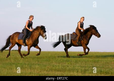 Reiten mit Islandpony Stockfoto, Bild: 83507181 - Alamy