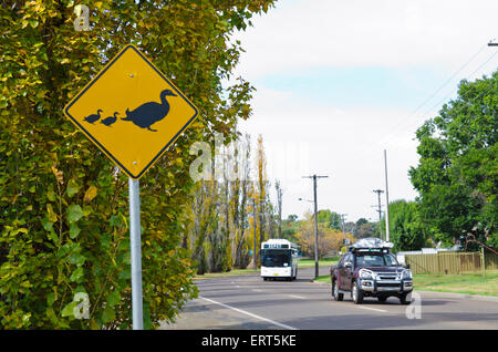 Ducks Crossing Schild neben der Peel River Tamworth Australia Stockfoto