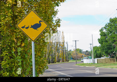 Ducks Crossing Schild neben der Peel River Tamworth Australia Stockfoto