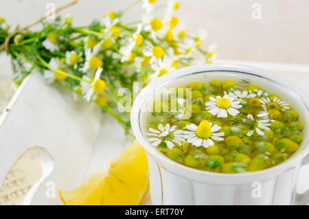 Weißes Porzellantasse gefüllt mit Kamillenblüten mit Zitrone auf einem Teller Stockfoto