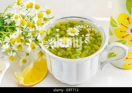 Weißes Porzellantasse gefüllt mit Kamillenblüten mit Zitrone auf einem Teller Stockfoto