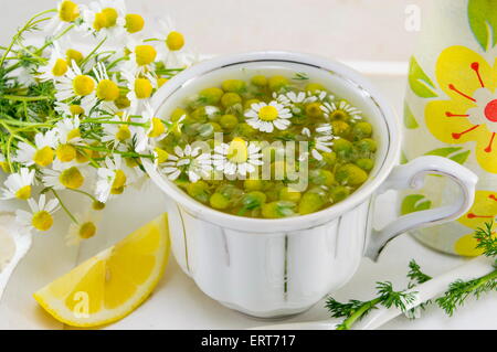 Weißes Porzellantasse gefüllt mit Kamillenblüten mit Zitrone auf einem Teller Stockfoto