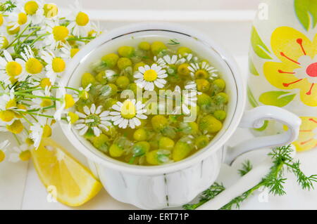 Weißes Porzellantasse gefüllt mit Kamillenblüten mit Zitrone auf einem Teller Stockfoto