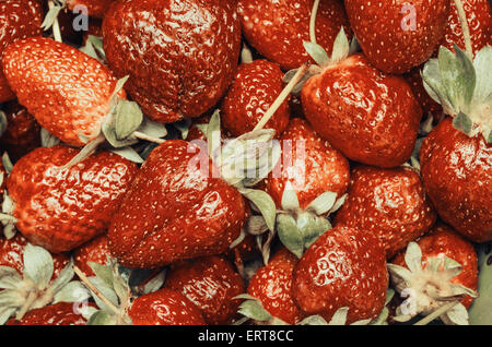 Retro-Filter der rote Sommer Erdbeeren Früchte In Markt-Anzeige Stockfoto