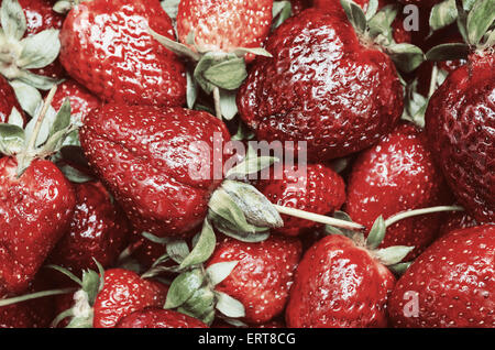 Retro-Filter der rote Sommer Erdbeeren Früchte In Markt-Anzeige Stockfoto