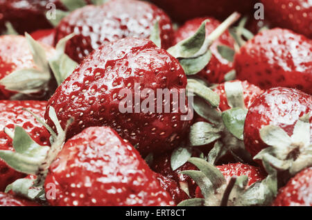Retro-Filter der rote Sommer Erdbeeren Früchte In Markt-Anzeige Stockfoto