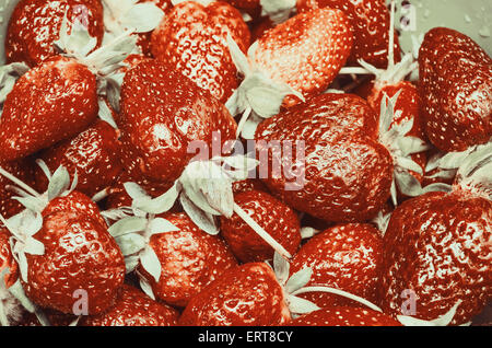 Retro-Filter der rote Sommer Erdbeeren Früchte In Markt-Anzeige Stockfoto