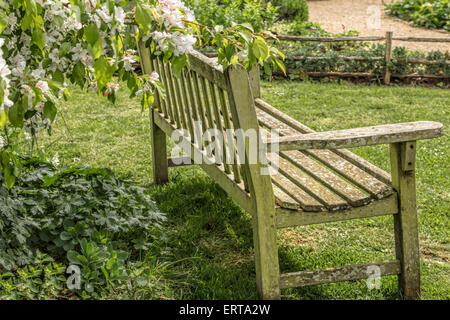 Bank auf dem Friedhof der Dorchester Abbey oder der Erzabtei St. Peter und St. Paul, Dorchester-on-Thames, Oxfordshire, Vereinigtes Königreich. Stockfoto