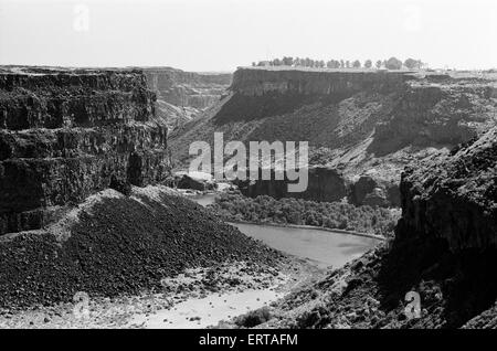 Stuntman Evel Knievel bereitet, Snake River Canyon in Idaho auf eine Dampf angetriebene Rollen zu springen. 26. August 1974. Stockfoto