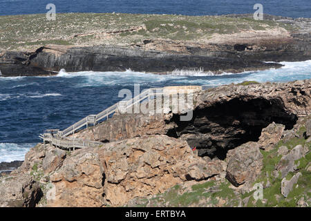 Admirals Arch am Cape Du Cuoedic. Flinders Chase Nationalpark, Kangaroo Island, South Australia. Stockfoto