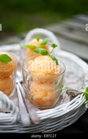 Hausgemachtes Sorbet mit tropischen Früchten und Minze Stockfoto