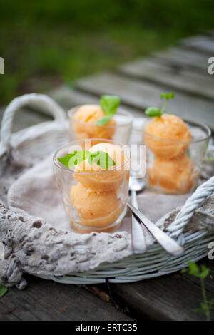 Hausgemachtes Sorbet mit tropischen Früchten und Minze Stockfoto