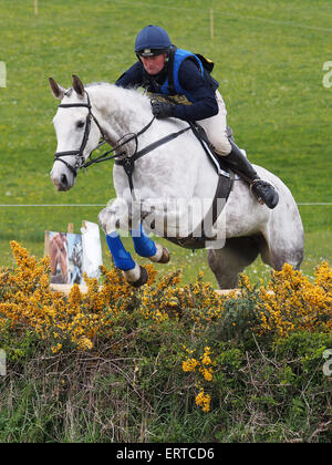 Belsay, UK. 6. Juni 2015. Ein Konkurrent im Bereich Langlauf löscht einen Sprung während Tag eines 2015 Belsay Horse Trials, auf dem Gelände des Belsay Castle in Northumberland, England statt. Belsay Castle wird von English Heritage verwaltet und ist das ganze Jahr für die Öffentlichkeit zugänglich. Bildnachweis: AC Bilder/Alamy Live-Nachrichten Stockfoto