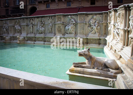 Die Gaia-Brunnen in Siena, Toskana, Italien. Stockfoto